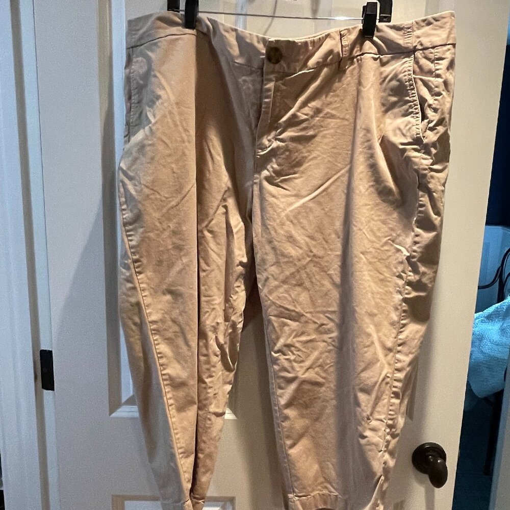 Sejour Cotton Crop Chinos 24W